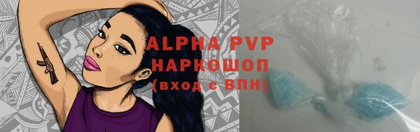ешки Новозыбков