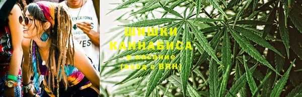 ешки Новозыбков