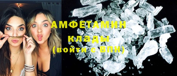 сатива Надым