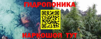 марки nbome Гусев