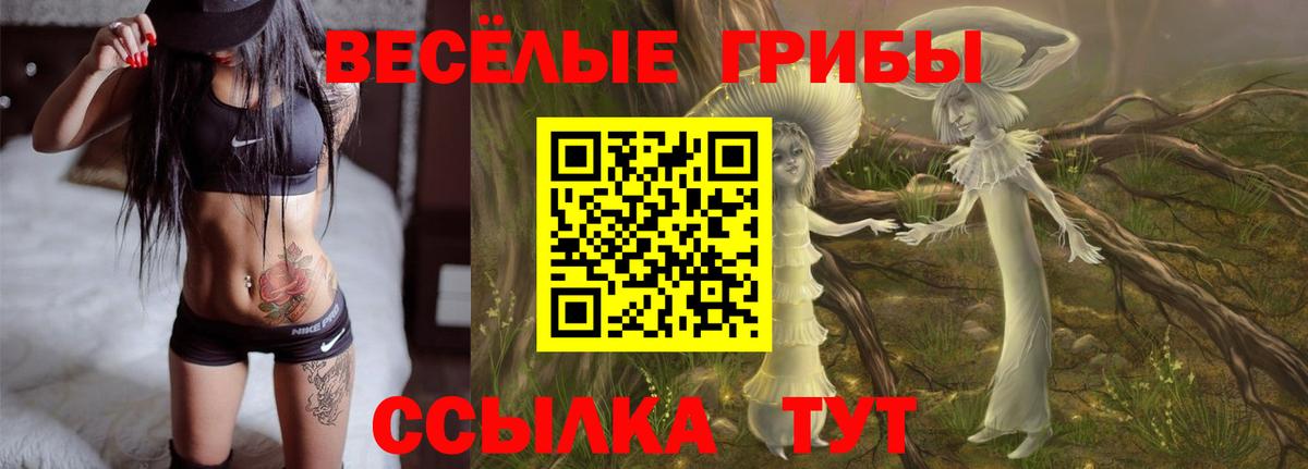 Галлюциногенные грибы мухоморы  Галлюциногенные грибы GOLDEN TEACHER  Кизилюрт  наркота  Вход с VPN 